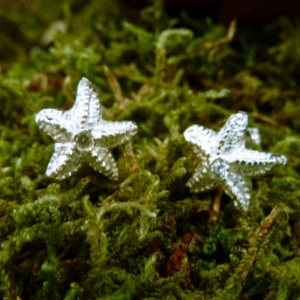 Starfish earrings