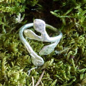 Twig ring